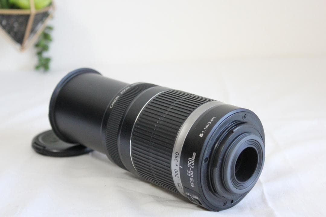 レンズ(ズーム) Canon EFS 55-250m 1:4-5.6 IS
