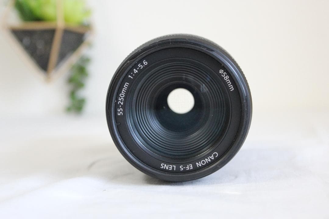 レンズ(ズーム) Canon EFS 55-250m 1:4-5.6 IS