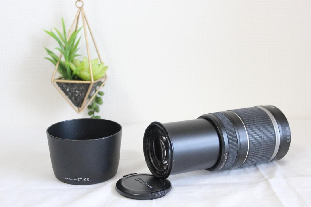 レンズ(ズーム) Canon EFS 55-250m 1:4-5.6 IS