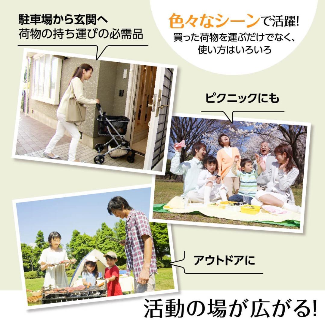 EcoCa（エコカ）マイカート ショッピングカート 超美品