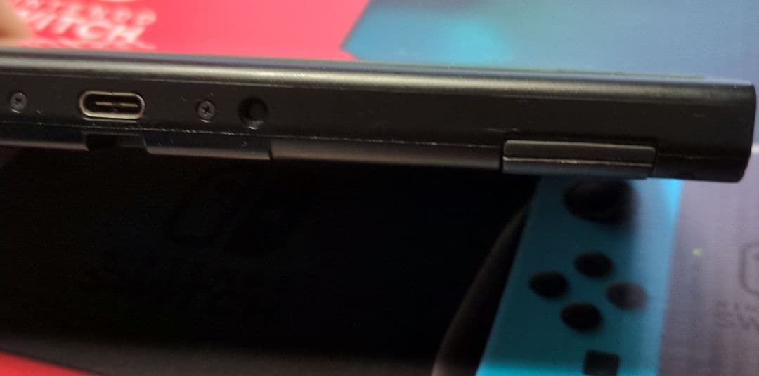 おかやどかり　　　Nintendo Switch 箱なし