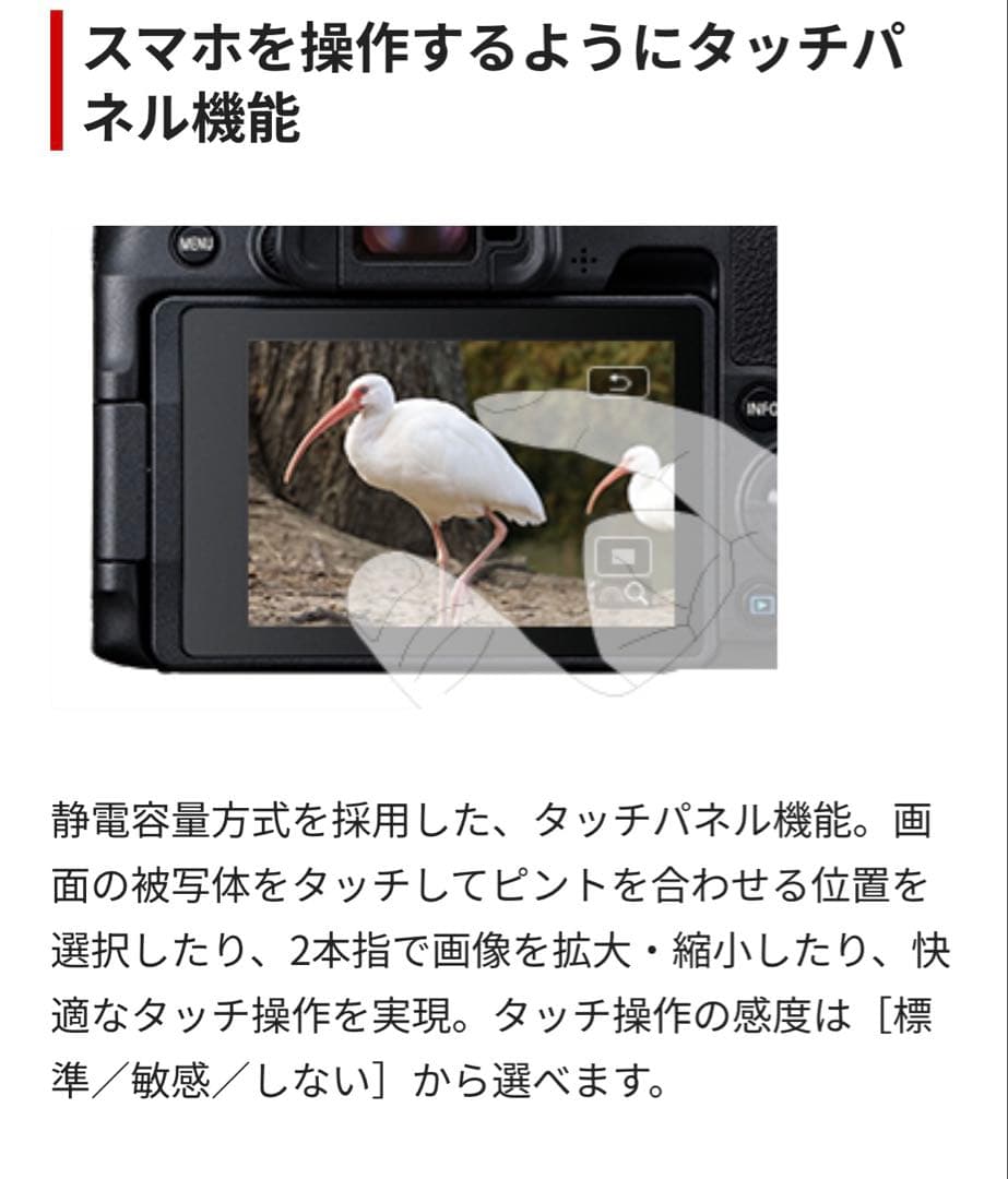 【超美品】 Canon EOS RP ミラーレス一眼 カメラ