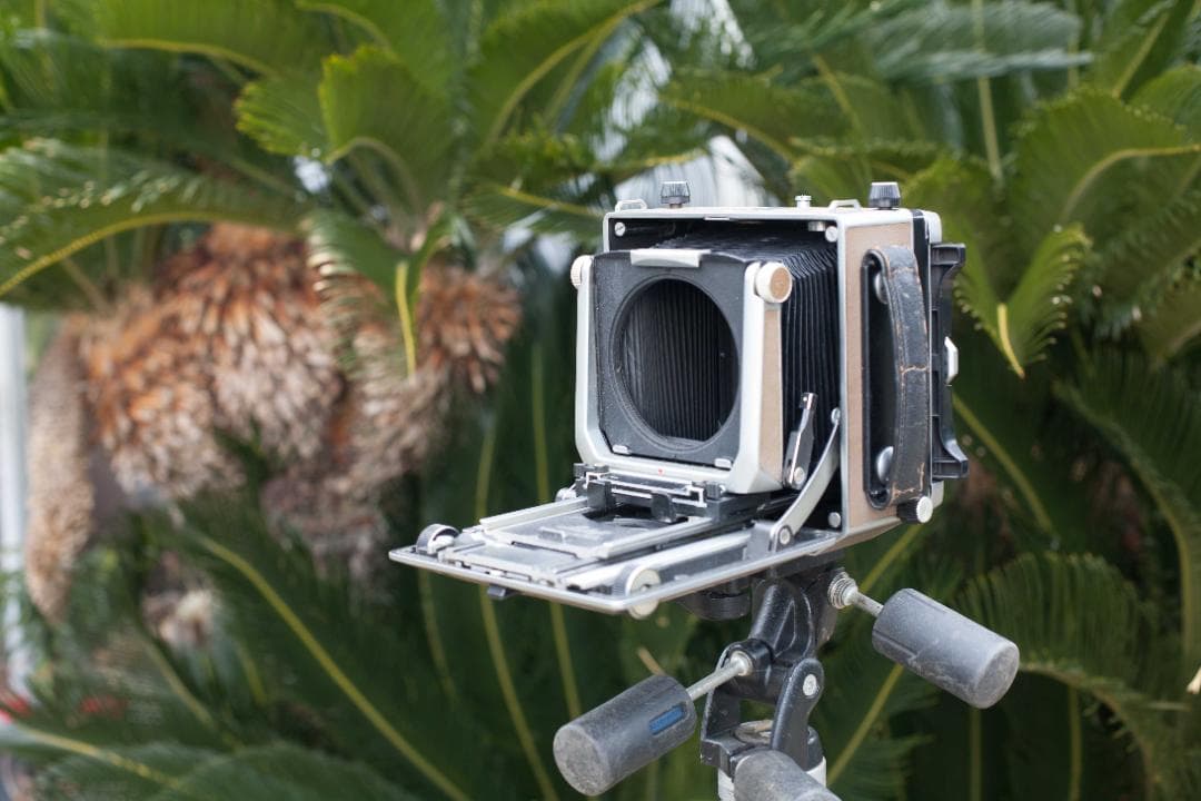 フィルムカメラ Linhof Technika