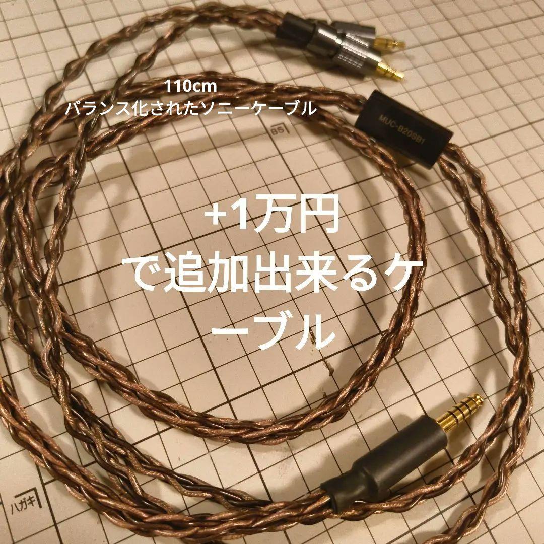 MDR Z1R ２０２４年購入品