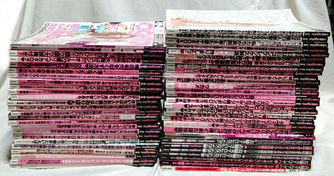 小悪魔ageha　メモリアルBOOK　姉ageha等　54冊まとめ売り