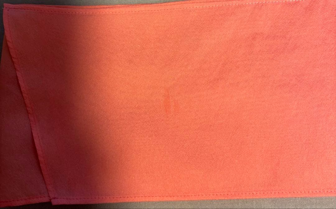 アナイ　シアーオーガンジーボウタイブラウス　2025 38 定価29700