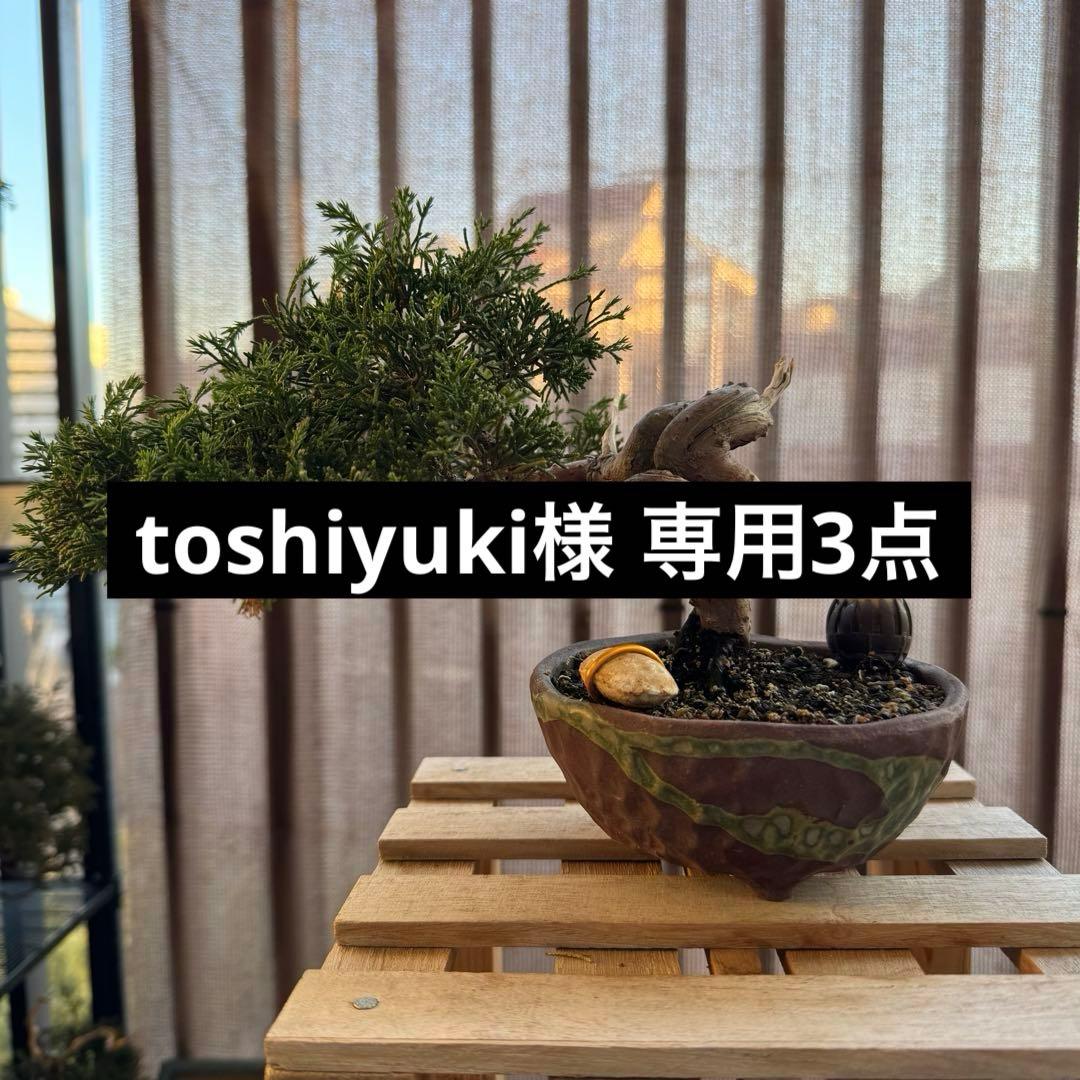 toshiyuki3点