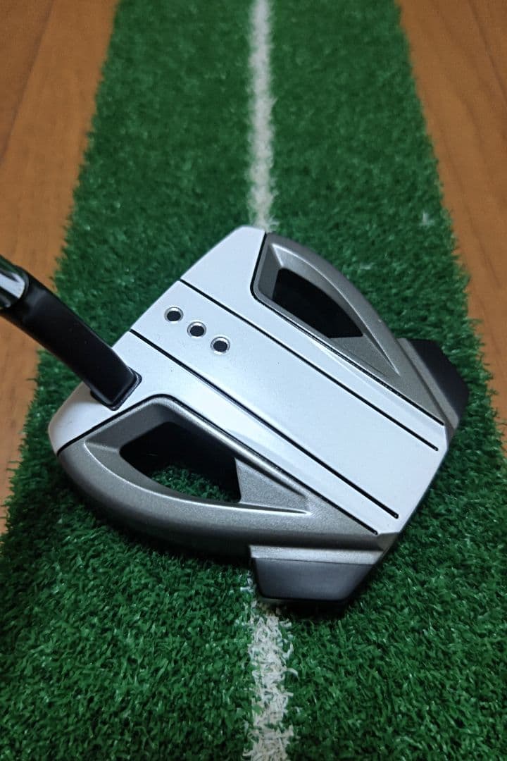 テーラーメイド Spider EX プラチナム SMALL SLANT