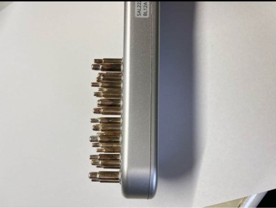 SALONIA EMS LIFT BRUSH 美顔ブラシ