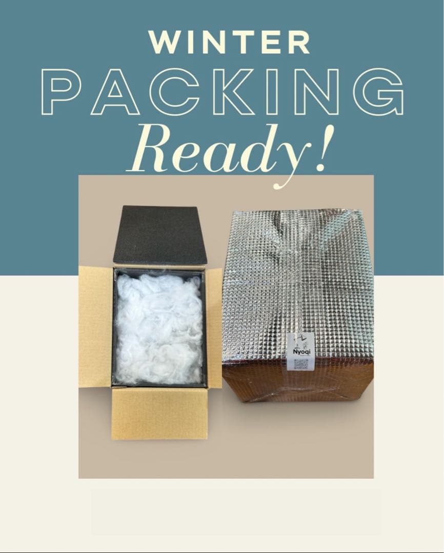 Alocasia Dragon Scale Variegata 【7】