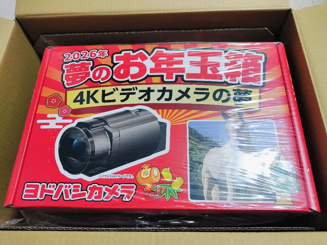 新品 4Kビデオカメラの夢 Sony ソニー FDR-AX45　ヨドバシ福袋