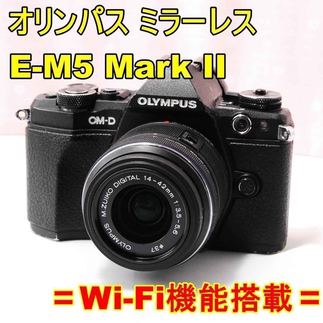 〓訳あり品〓オリンパス OM-D E-M5 Mark II＋14-42mm Ⅱ