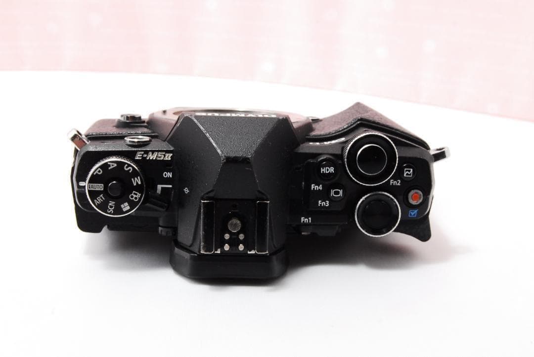 〓訳あり品〓オリンパス OM-D E-M5 Mark II＋14-42mm Ⅱ