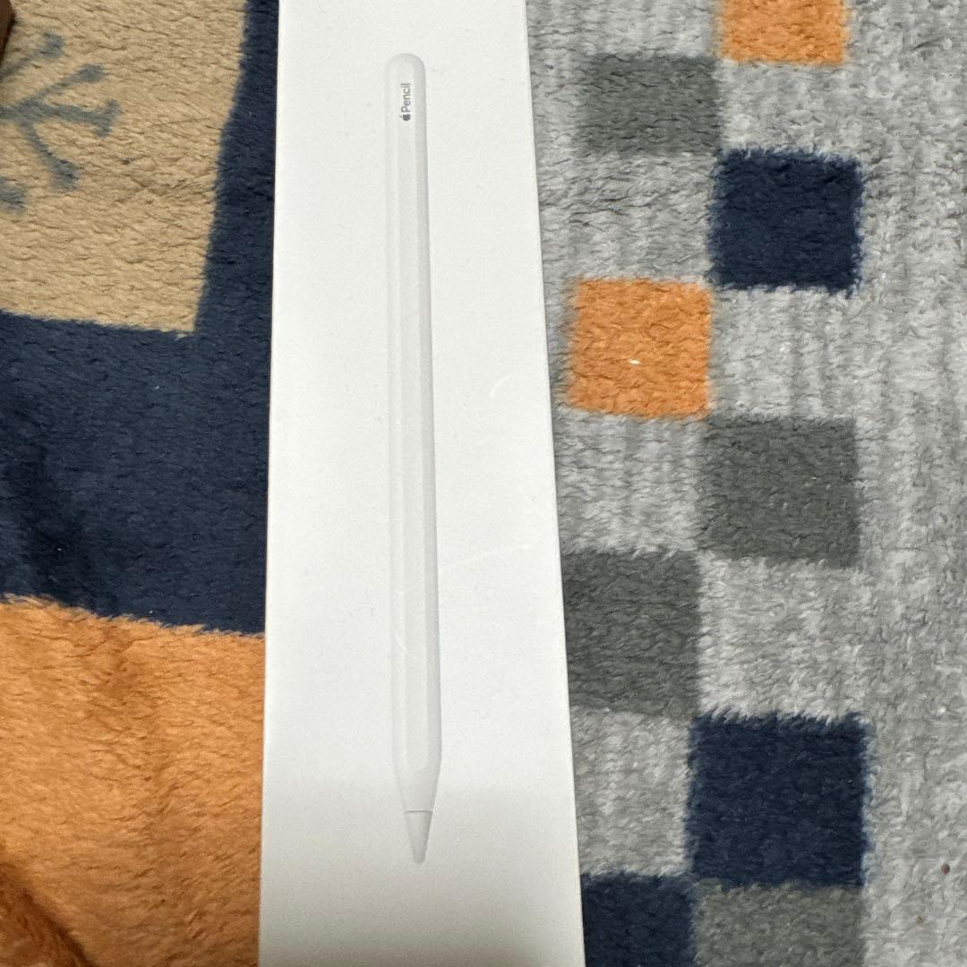 Apple iPad Pro本体