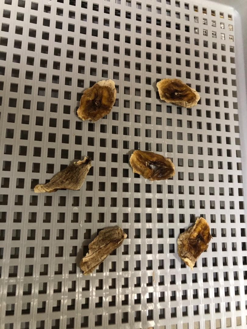 K☆1110 プラスワイズ 多目的電気乾燥機 DELIDR PY-FED 美品！