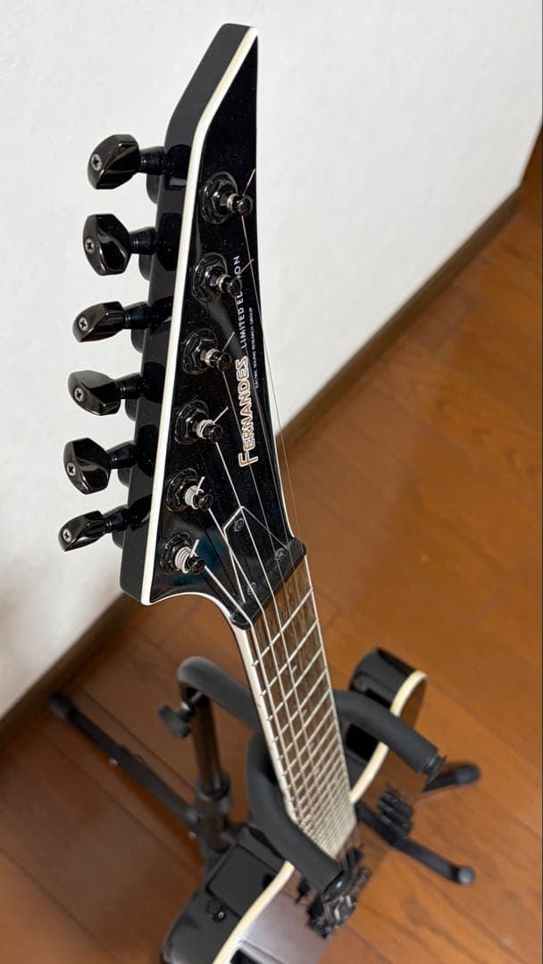 FERNANDES TEJ-STD 2S'19 BLK ケース付き