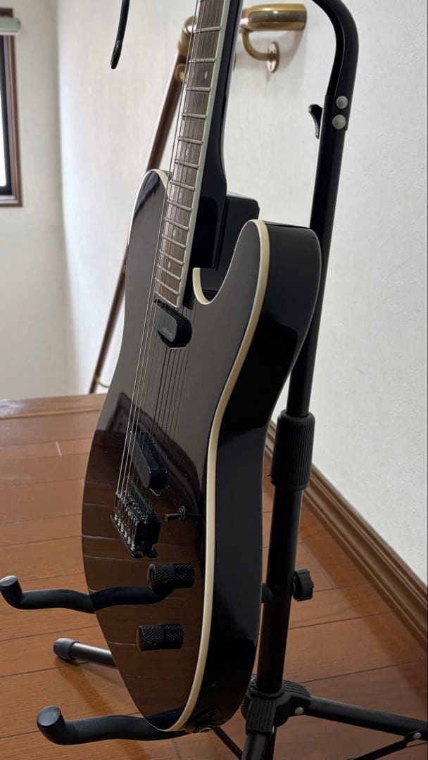 FERNANDES TEJ-STD 2S'19 BLK ケース付き