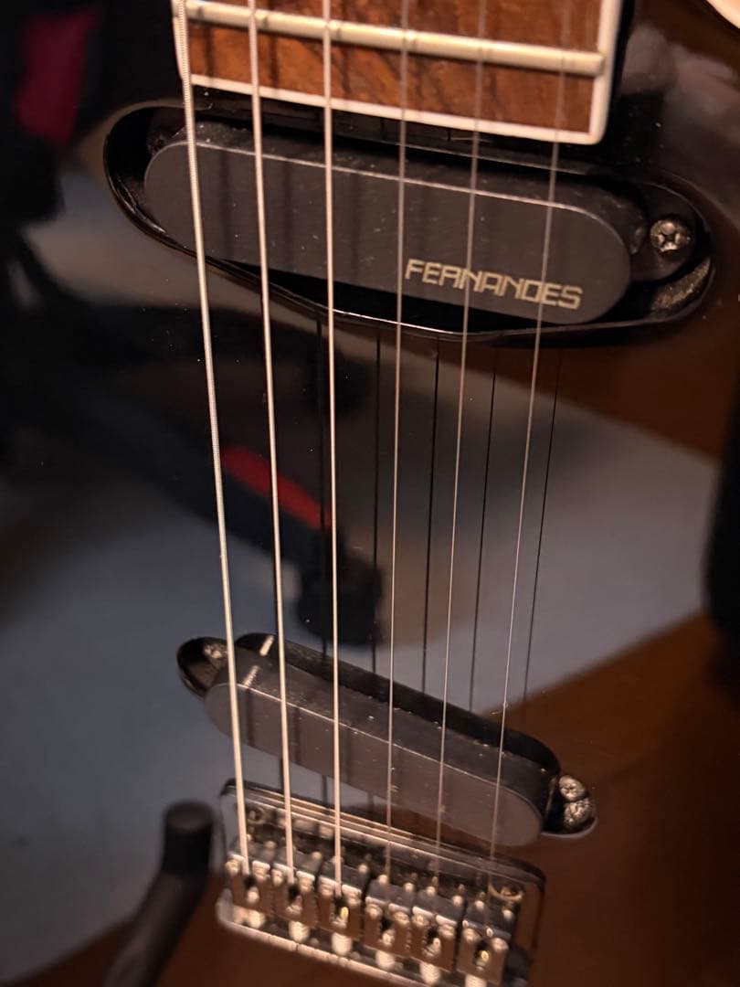 FERNANDES TEJ-STD 2S'19 BLK ケース付き