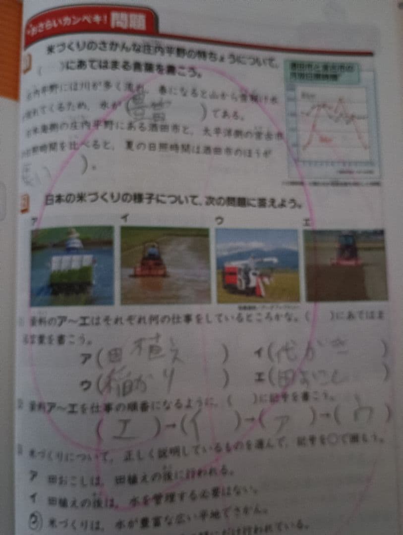 チャレンジ　5年生　ベネッセ　こどもちゃれんじ　知育　学習　本　 ポスター
