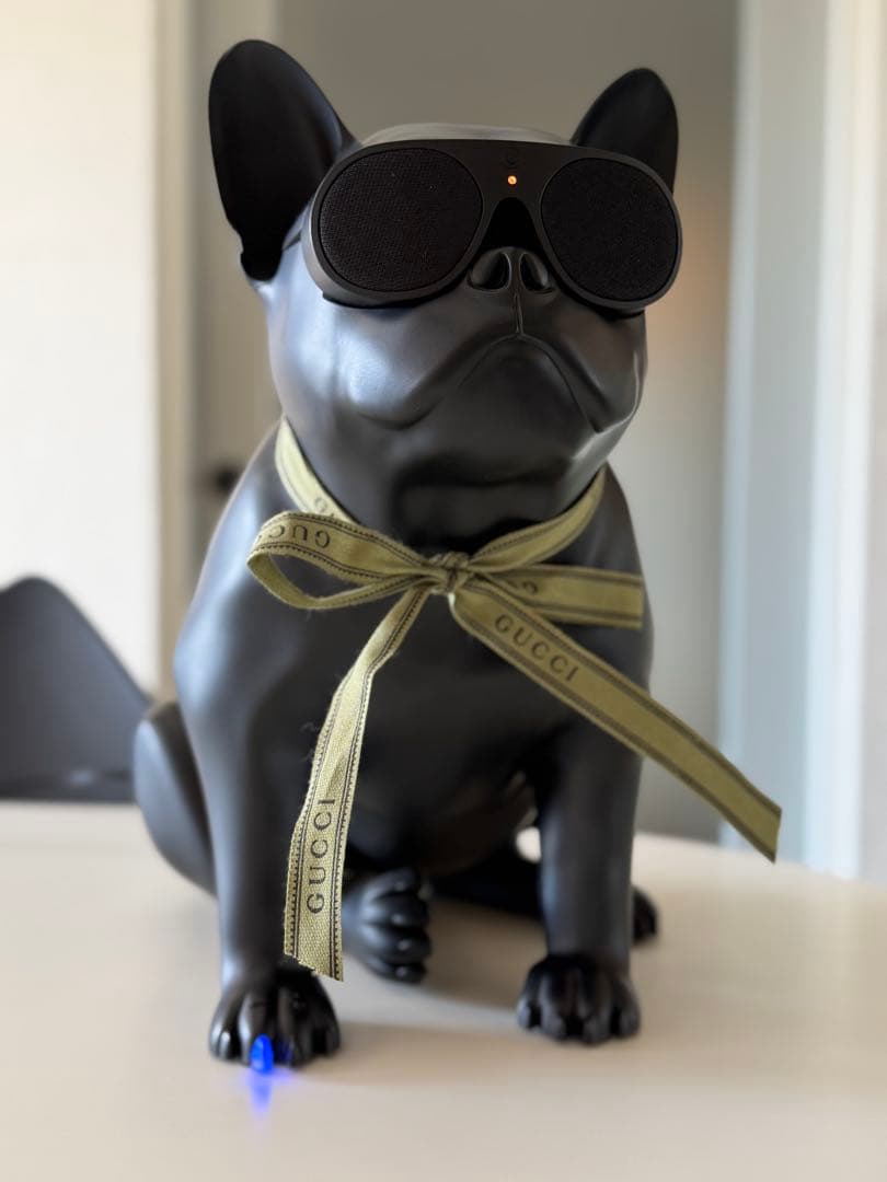 AeroBull XS1 ワイヤレススピーカー　定価99,000円