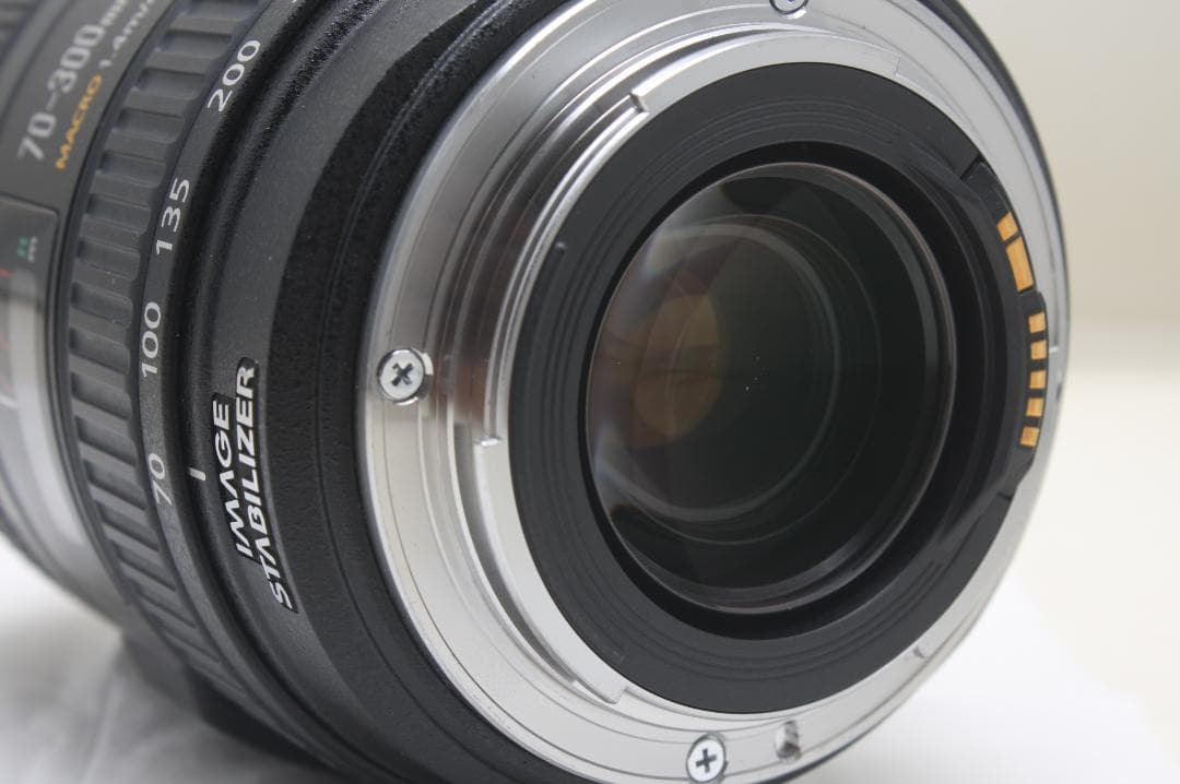 キヤノン EF 70-300mm F4.5-5.6 DO IS USM