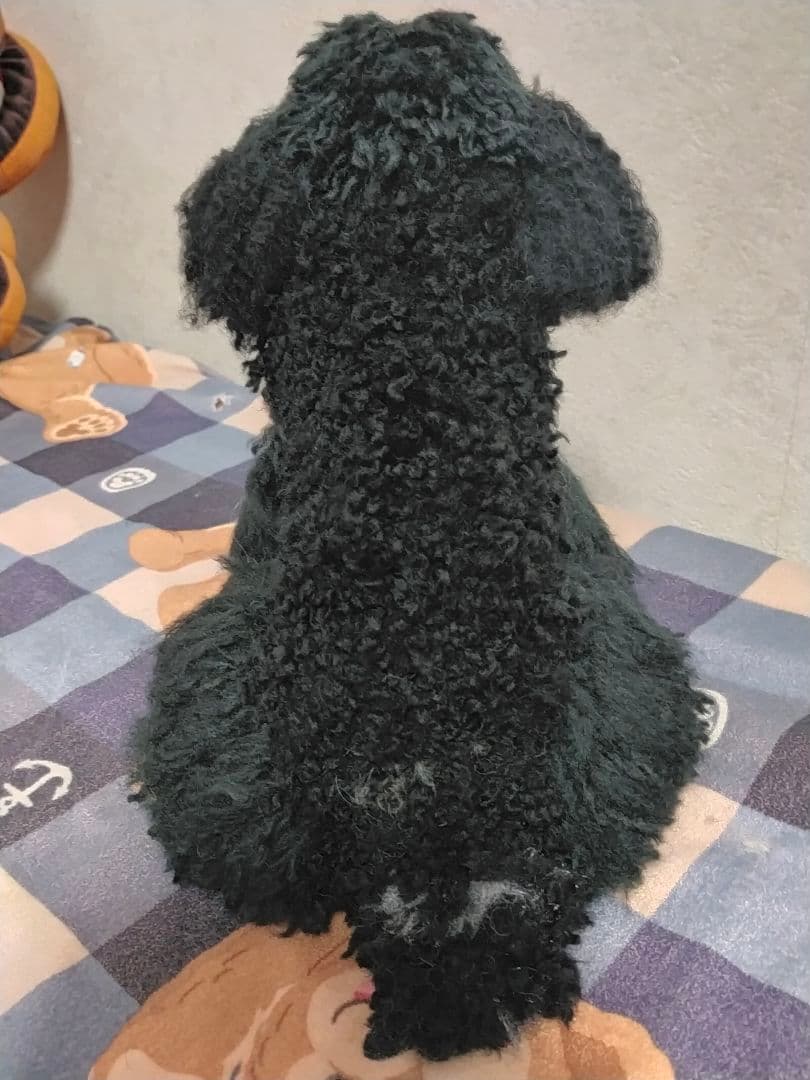 nongonオーダーベージ♡