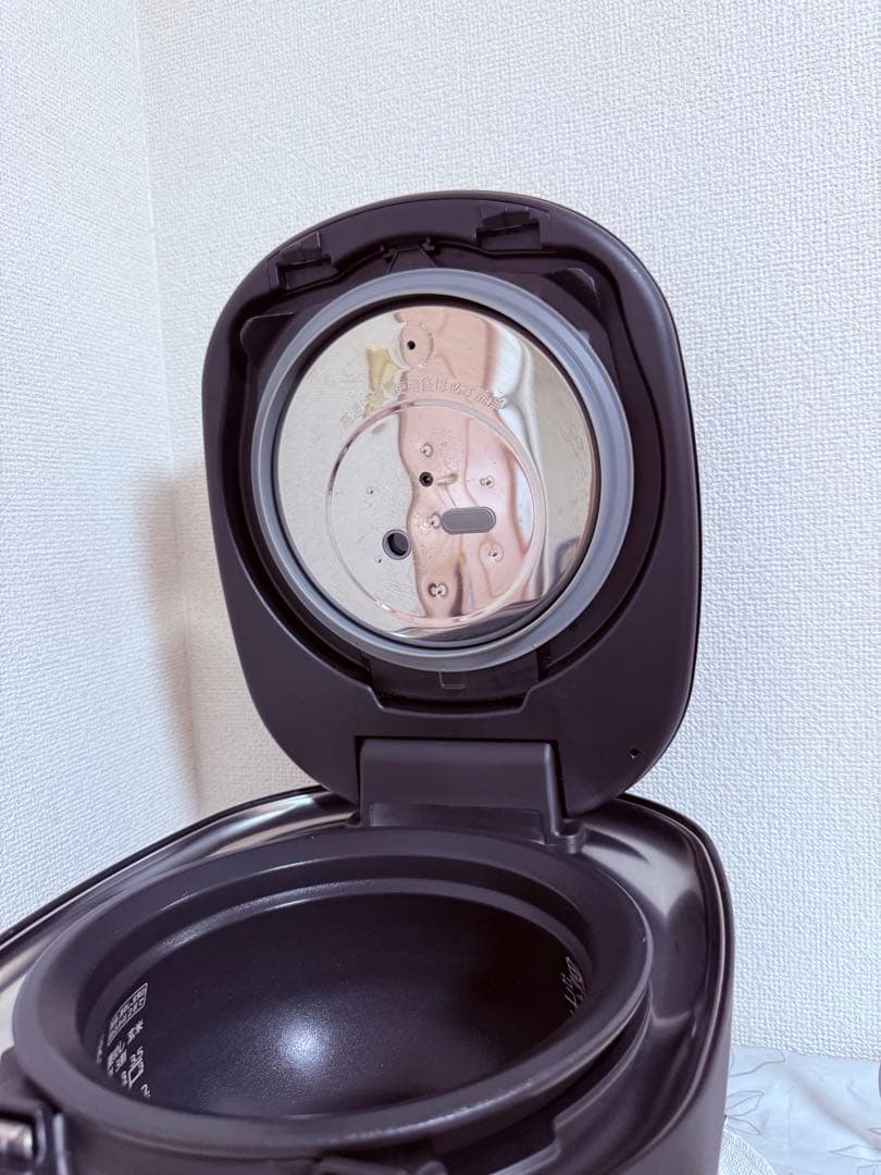 タイガー土鍋ご泡火炊き　圧力IH 5.5合 JRX-T100 2023