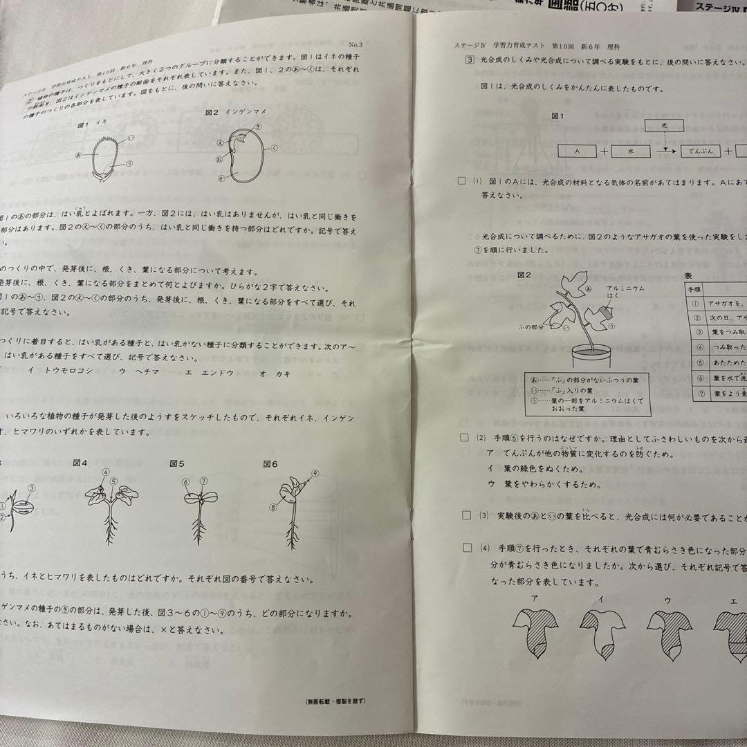 2025年度日能研学習力育成テスト6年前期　2月-5月 春季特別講習テスト
