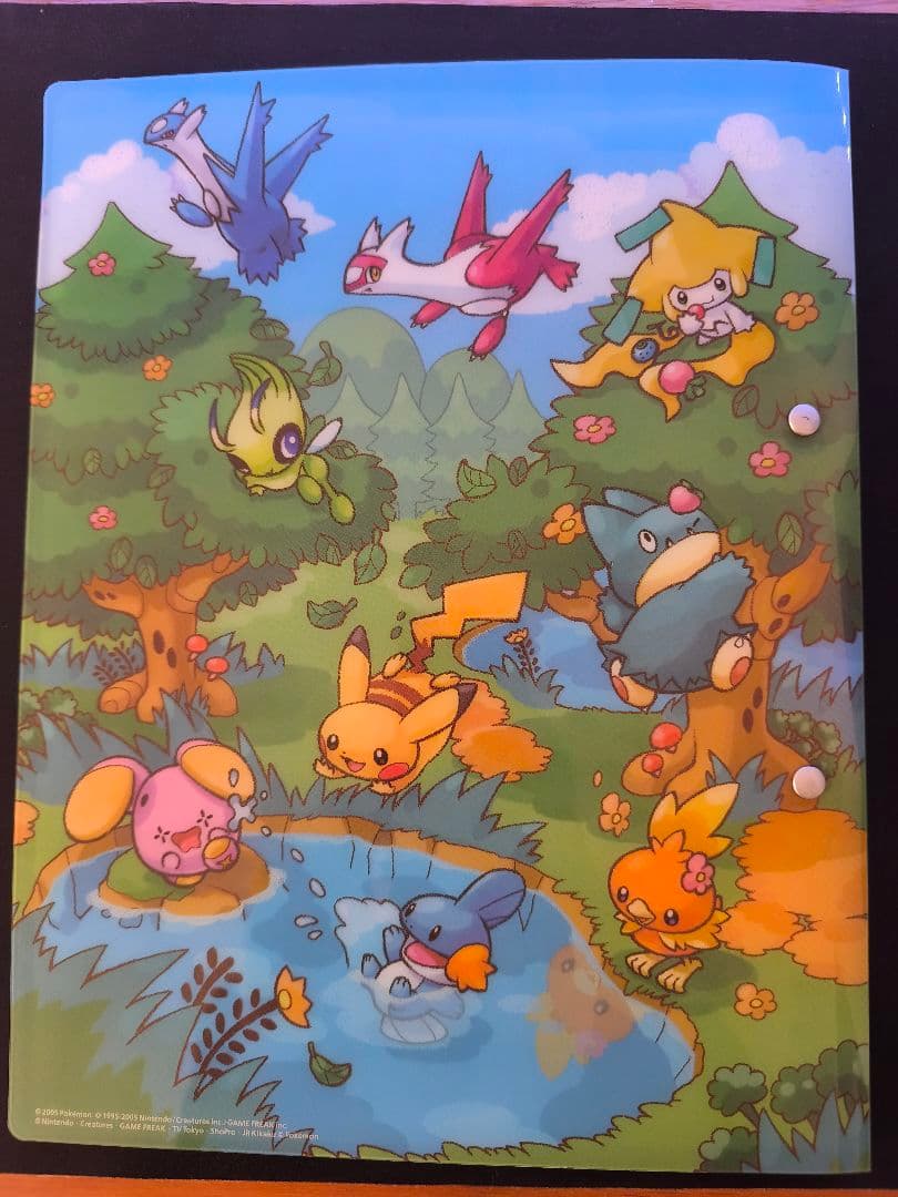 ポケパーク　ブルーシート　フォレストシート　ファイルのみ