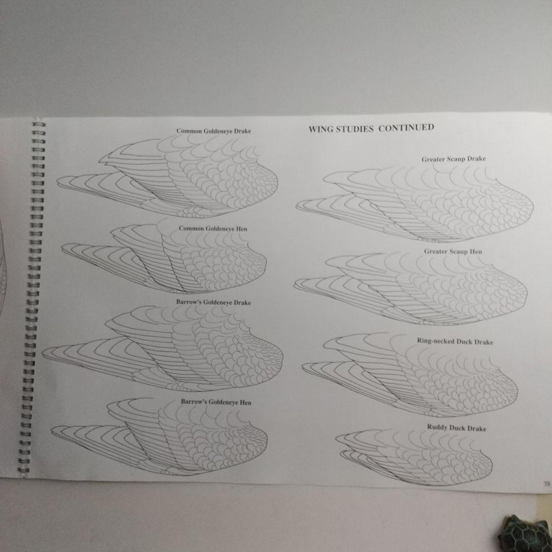 バードカービング教本２冊 パトリック ゴディンのカモとロニーダイのハヤブサ