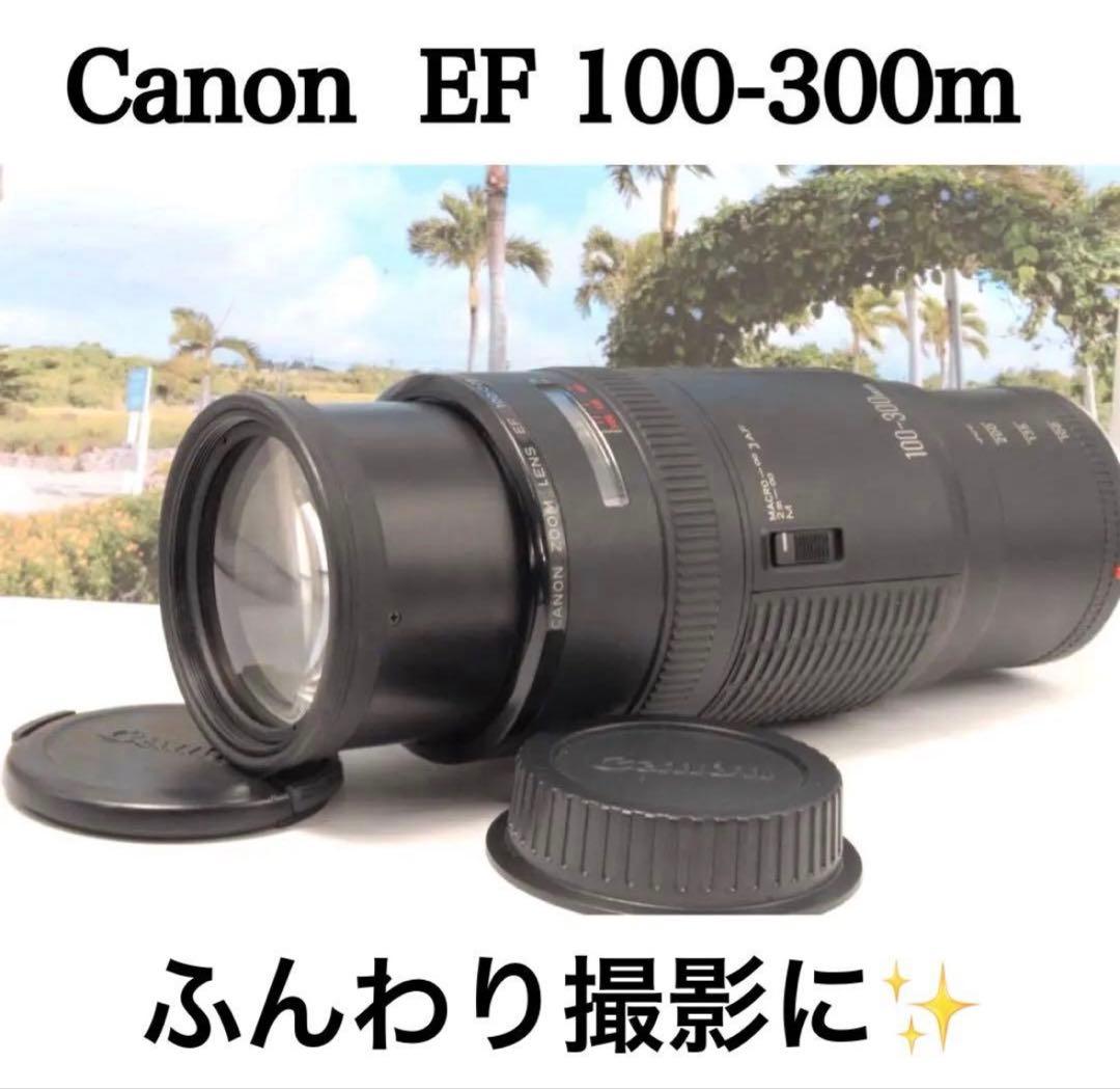 ✨ふんわりなボケ味✨Canon EF 100-300mm F5.6 フェアリー