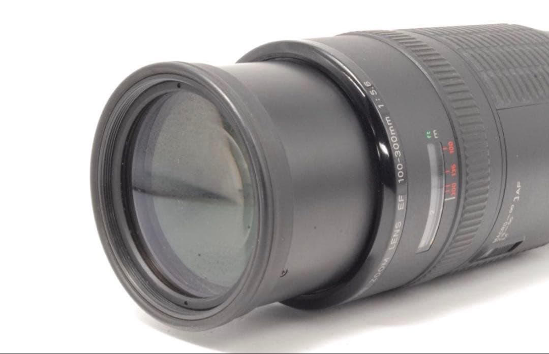 ✨ふんわりなボケ味✨Canon EF 100-300mm F5.6 フェアリー