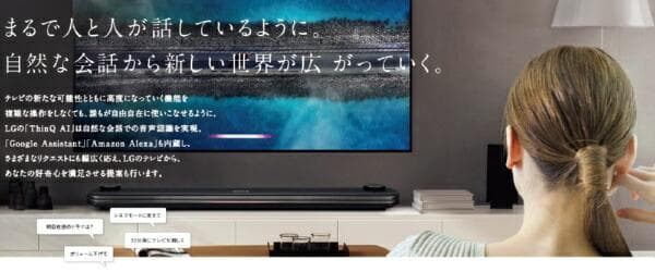 LG 有機ELテレビ 4K OLED 65B9PJA 19年製 引取限定 未使用