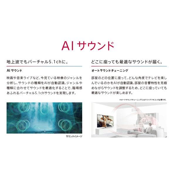 LG 有機ELテレビ 4K OLED 65B9PJA 19年製 引取限定 未使用