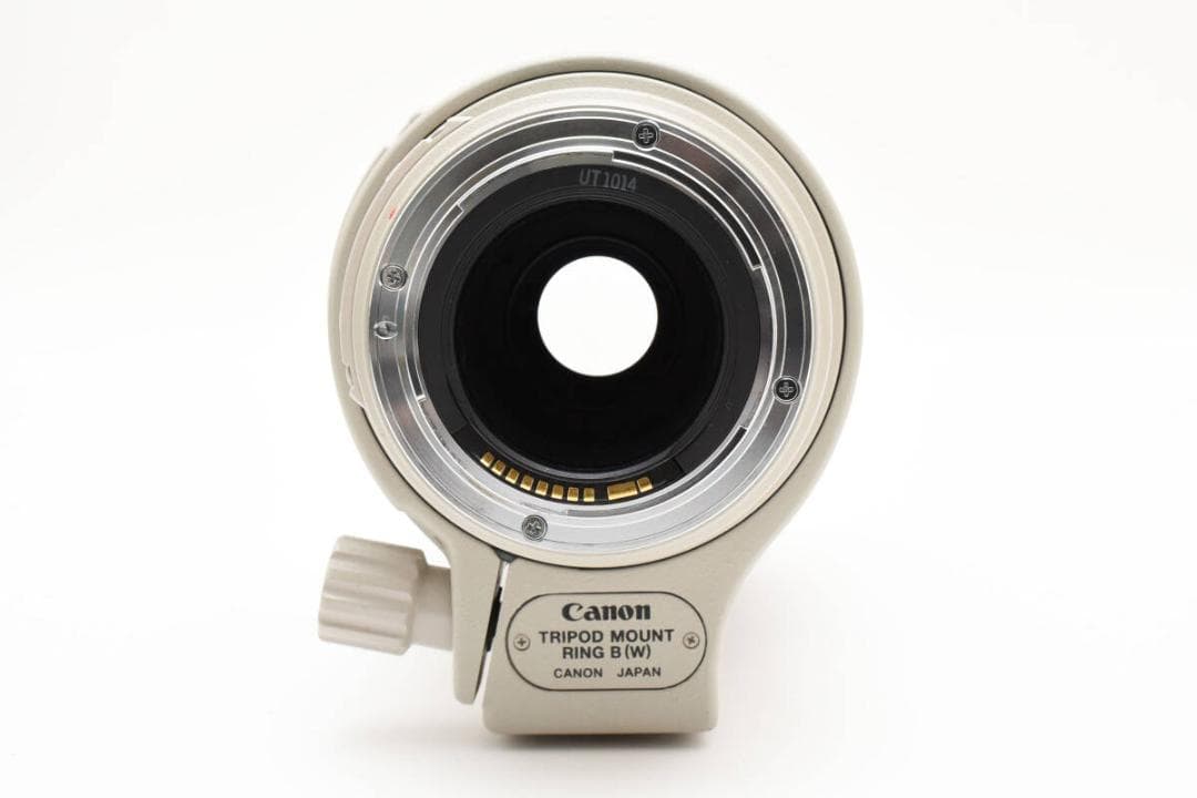 ★ Canon EF 100-400mm F4.5-5.6L IS USM