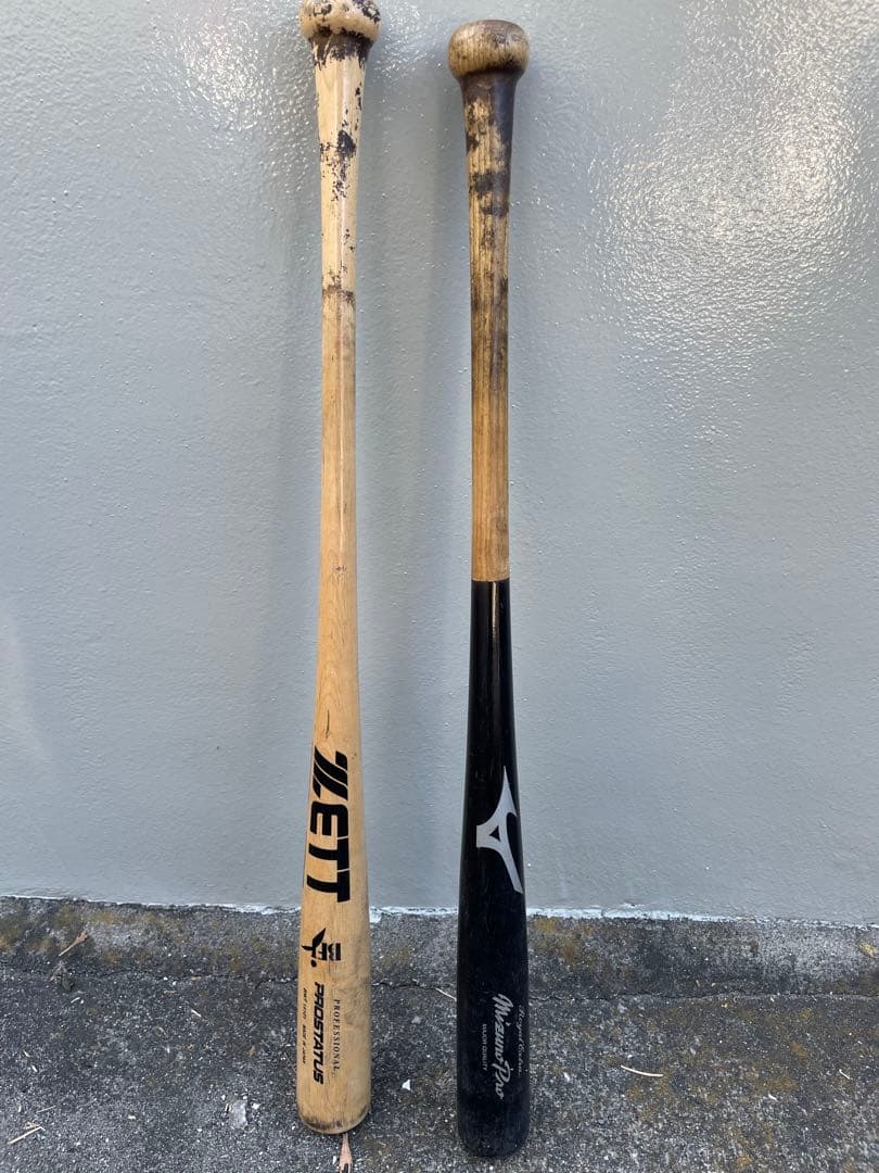 Mizuno Pro & ZETTProStatus 硬式バット2本セット