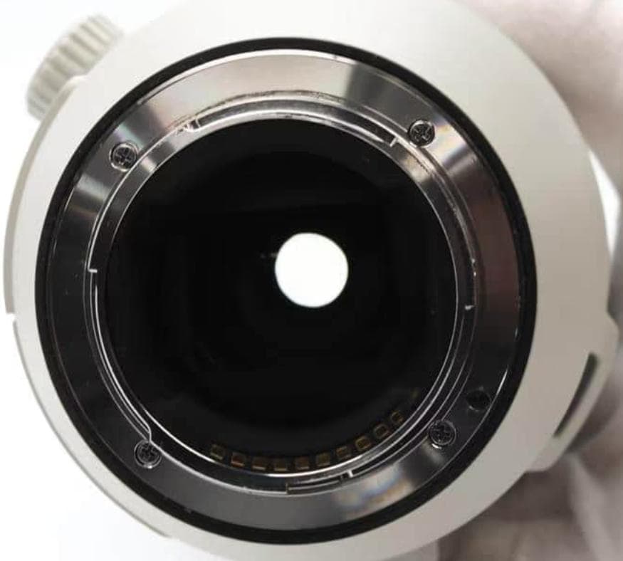 レンズ(ズーム) FE 200-600mm F5.6-6.3 G OSS SEL200600G