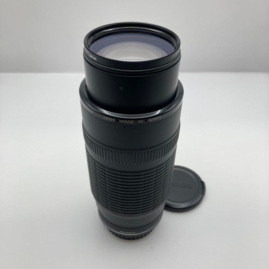 レンズ(ズーム) CANON EF 100-300mm f5.6