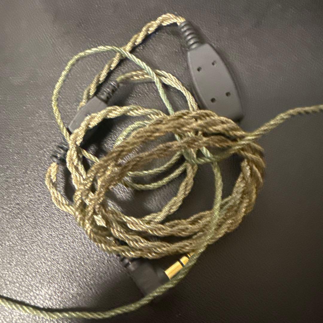 jh audio 初代ロクサーヌ　Roxanne Universal Fit