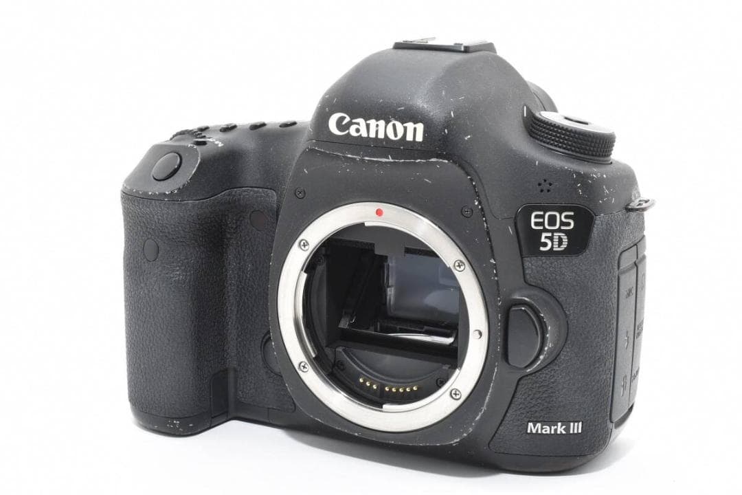 ショット数: 176回 Canon EOS 5D Mark III #1161