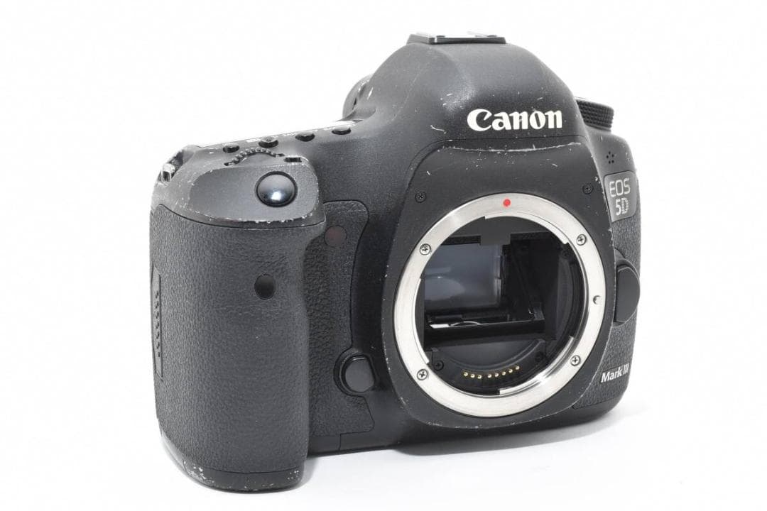 ショット数: 176回 Canon EOS 5D Mark III #1161