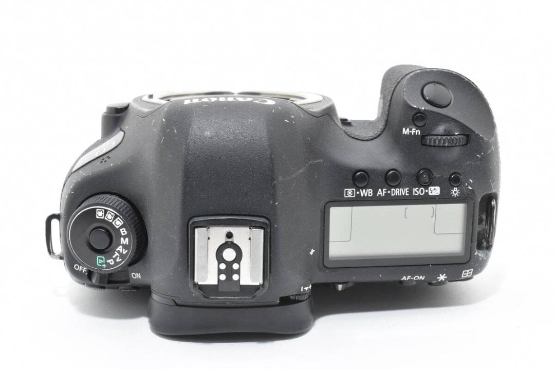 ショット数: 176回 Canon EOS 5D Mark III #1161