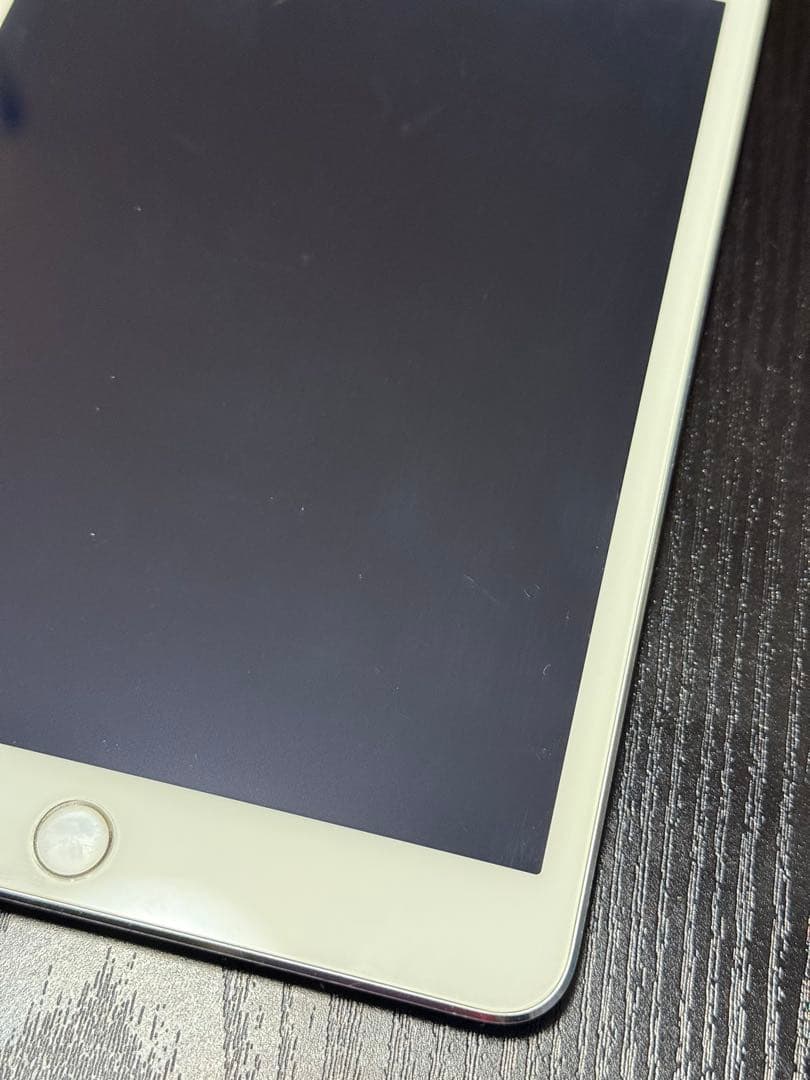 iPad mini（第1世代）セルラー docomo 16GB ケース付き