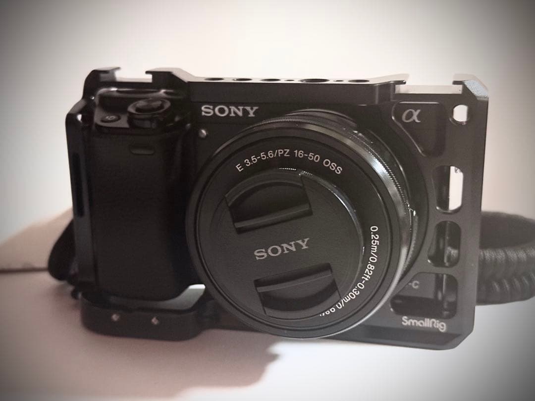 SONY α6000 ミラーレス一眼 E 16-50mm