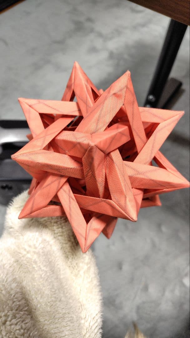 COLONISTA 　CONPE10 　Coral