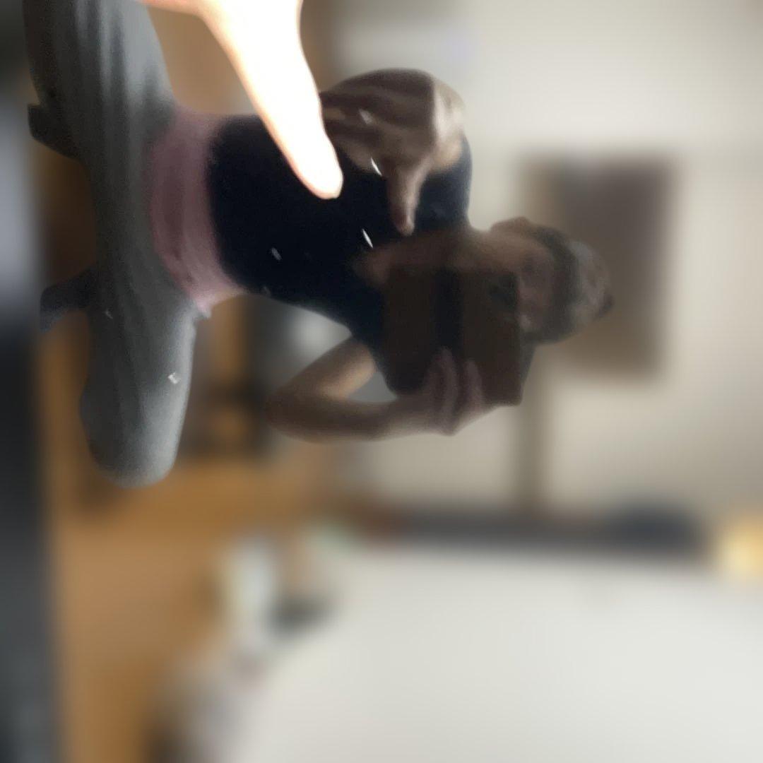 Panasonic テレビ　VIERA