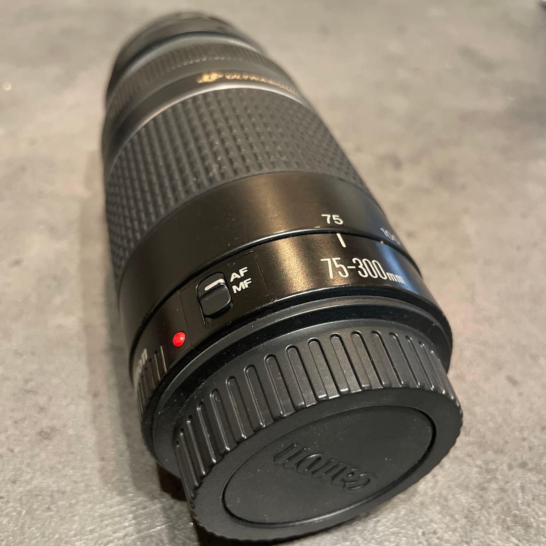 【美品】Canon 望遠レンズ EF75-300mm F4-5.6 III