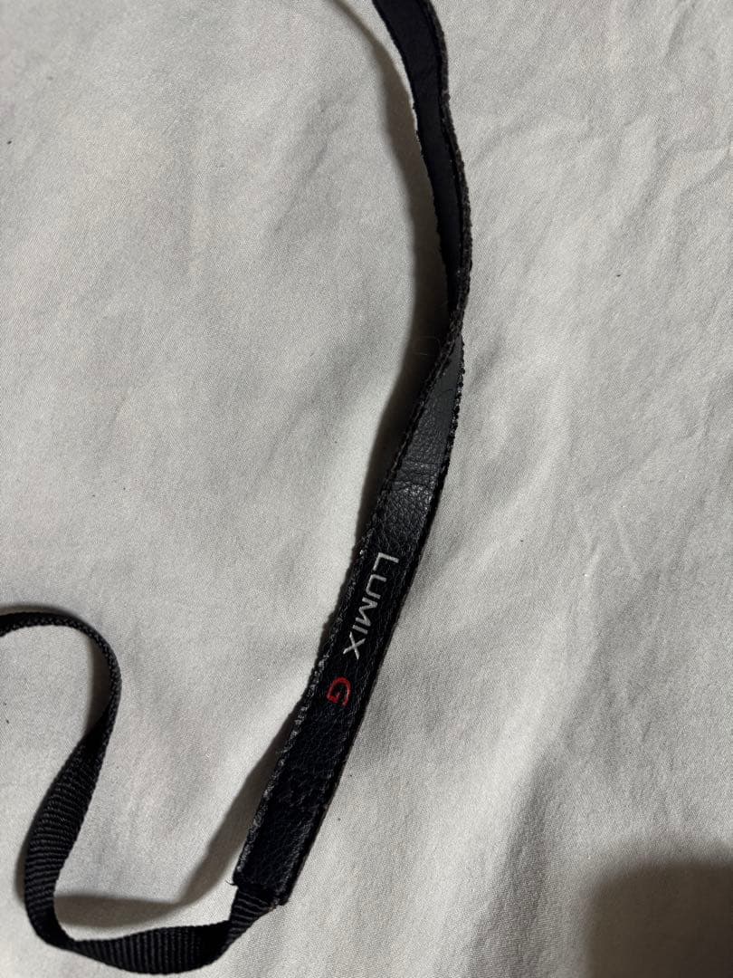 LUMIX DC-GF9W オレンジ 4Kミラーレスカメラ ダブルレンズキット