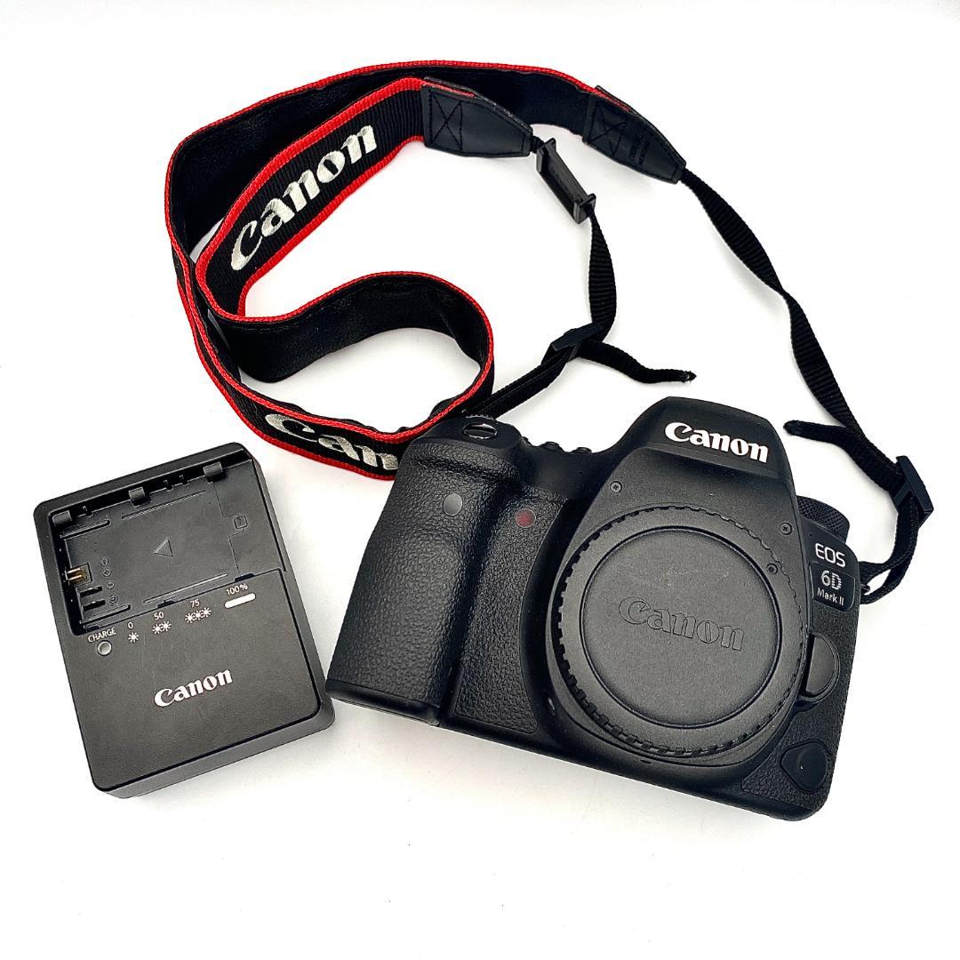 美品 Canon EOS 6D Mark II 本体 充電器 バッテリー セット