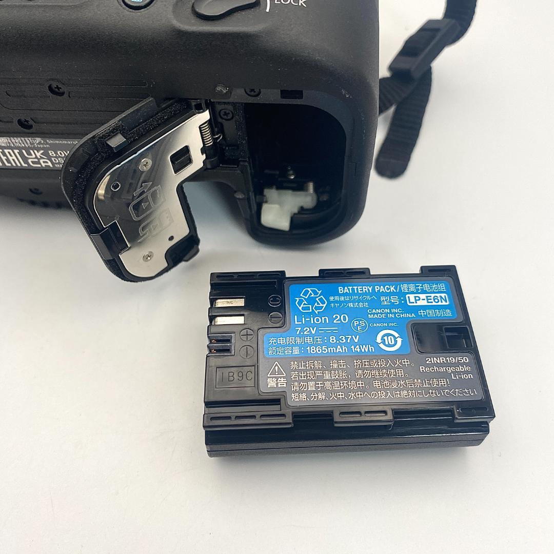 美品 Canon EOS 6D Mark II 本体 充電器 バッテリー セット